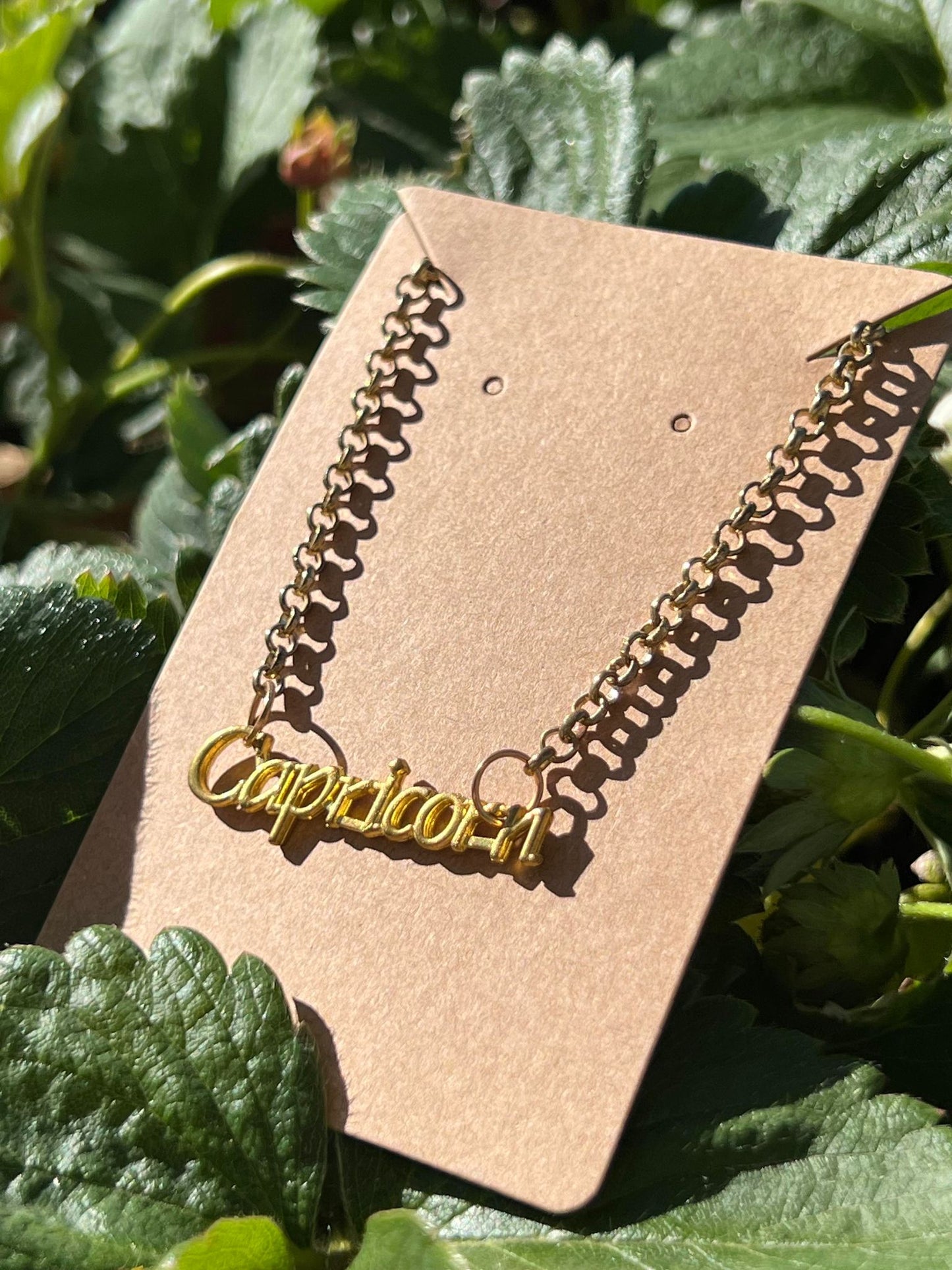 Capricorn Necklace