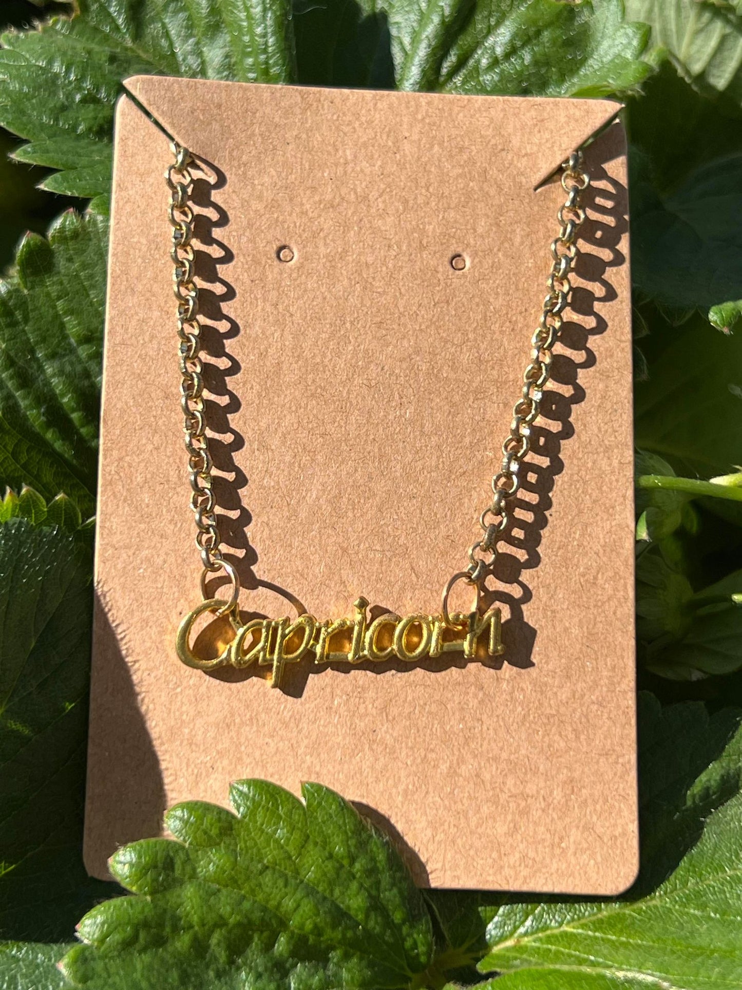 Capricorn Necklace