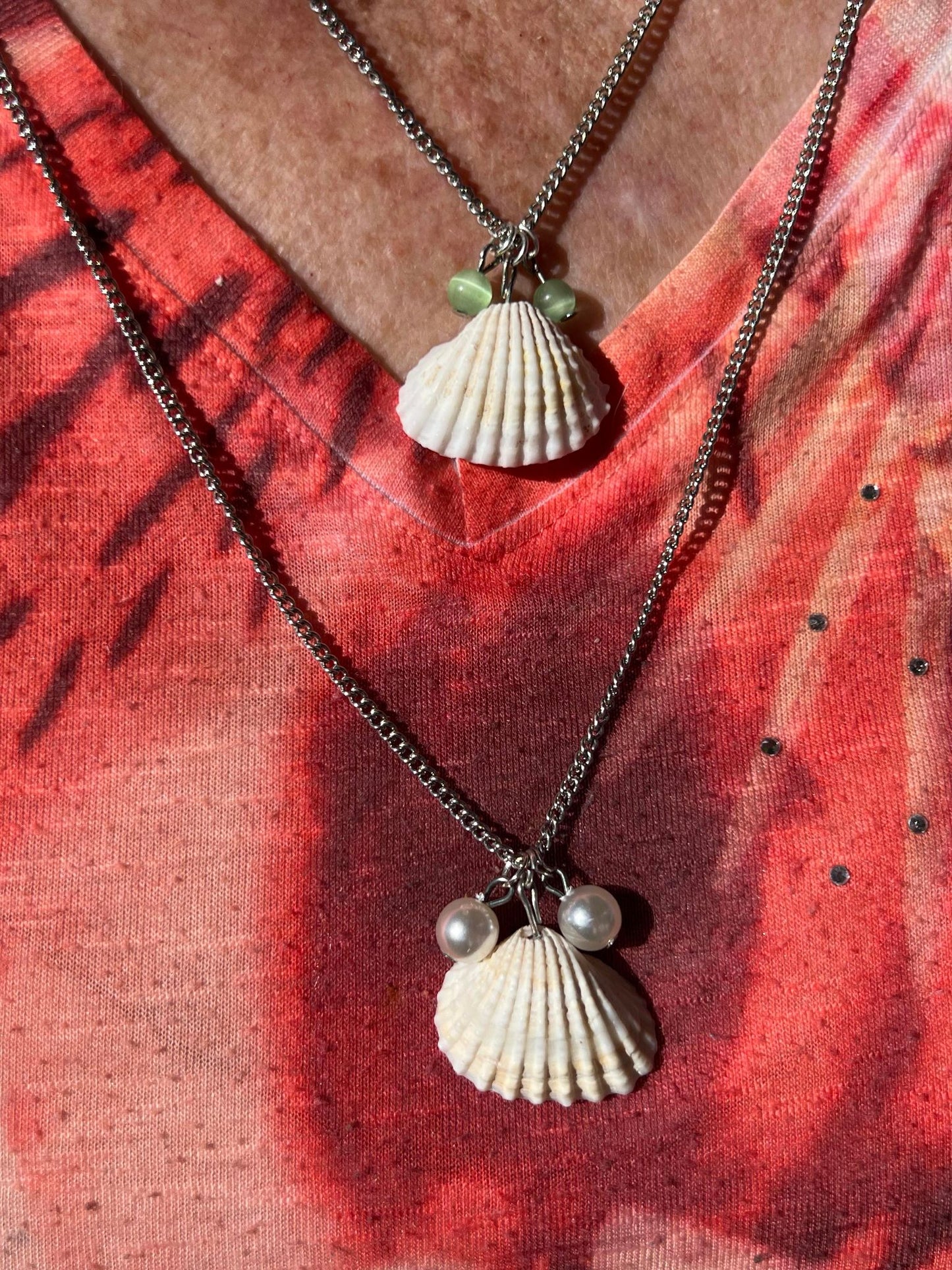 Seashell Set